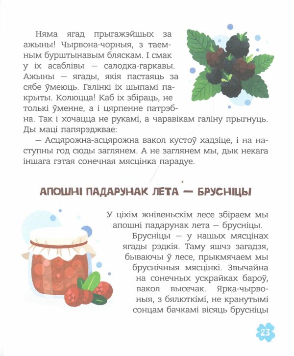 Летнія забавы