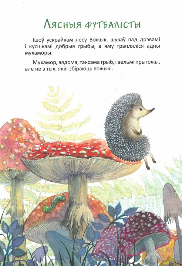 Адважныя вандроўнікі